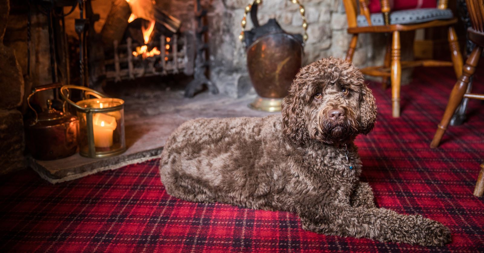 brown dog sat in front of a fireplace 